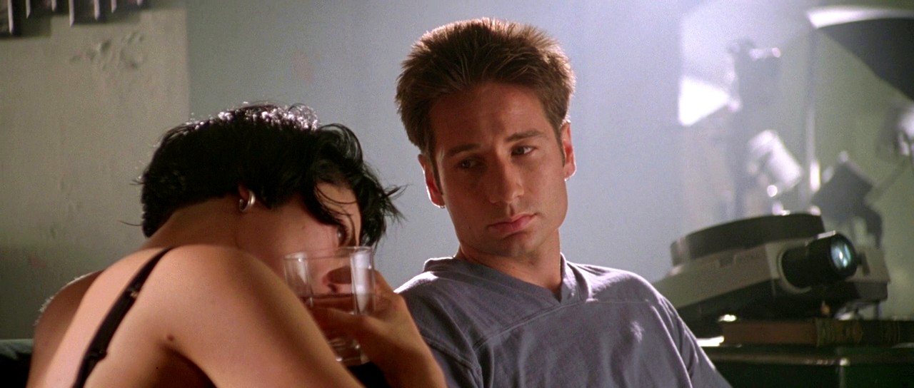 Дневники Красного Вибратора