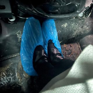 Poppy Corby-Tuech - actress - biography, photo, best movies and TV shows