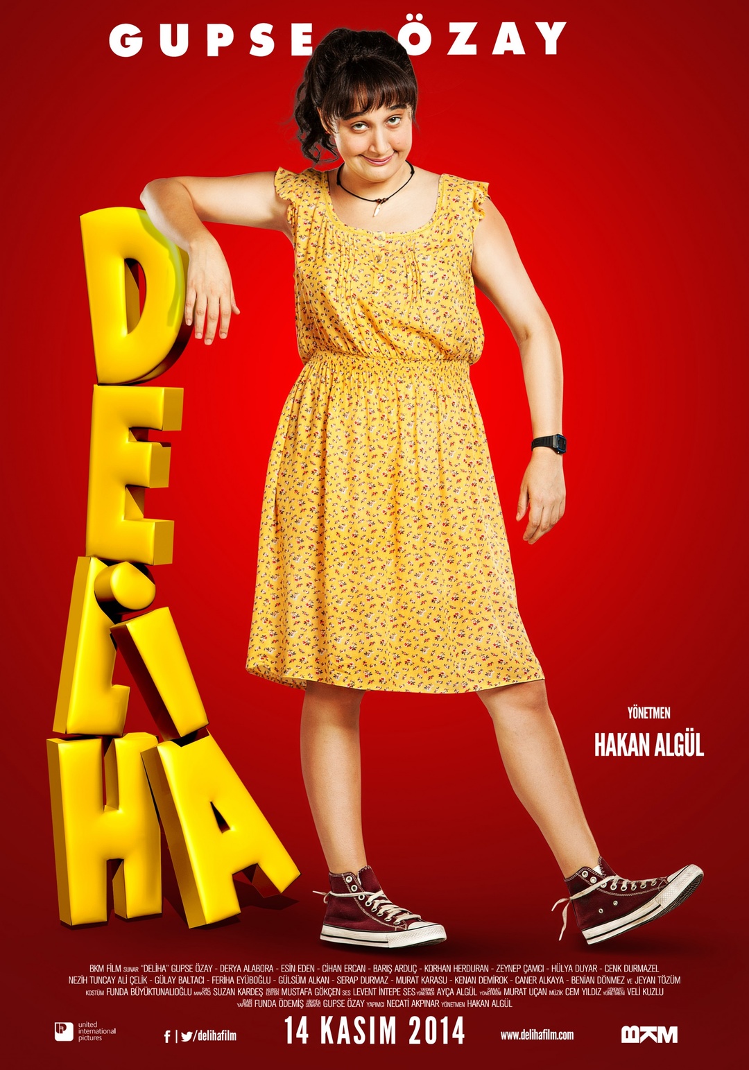 Делиха (фильм, 2014)