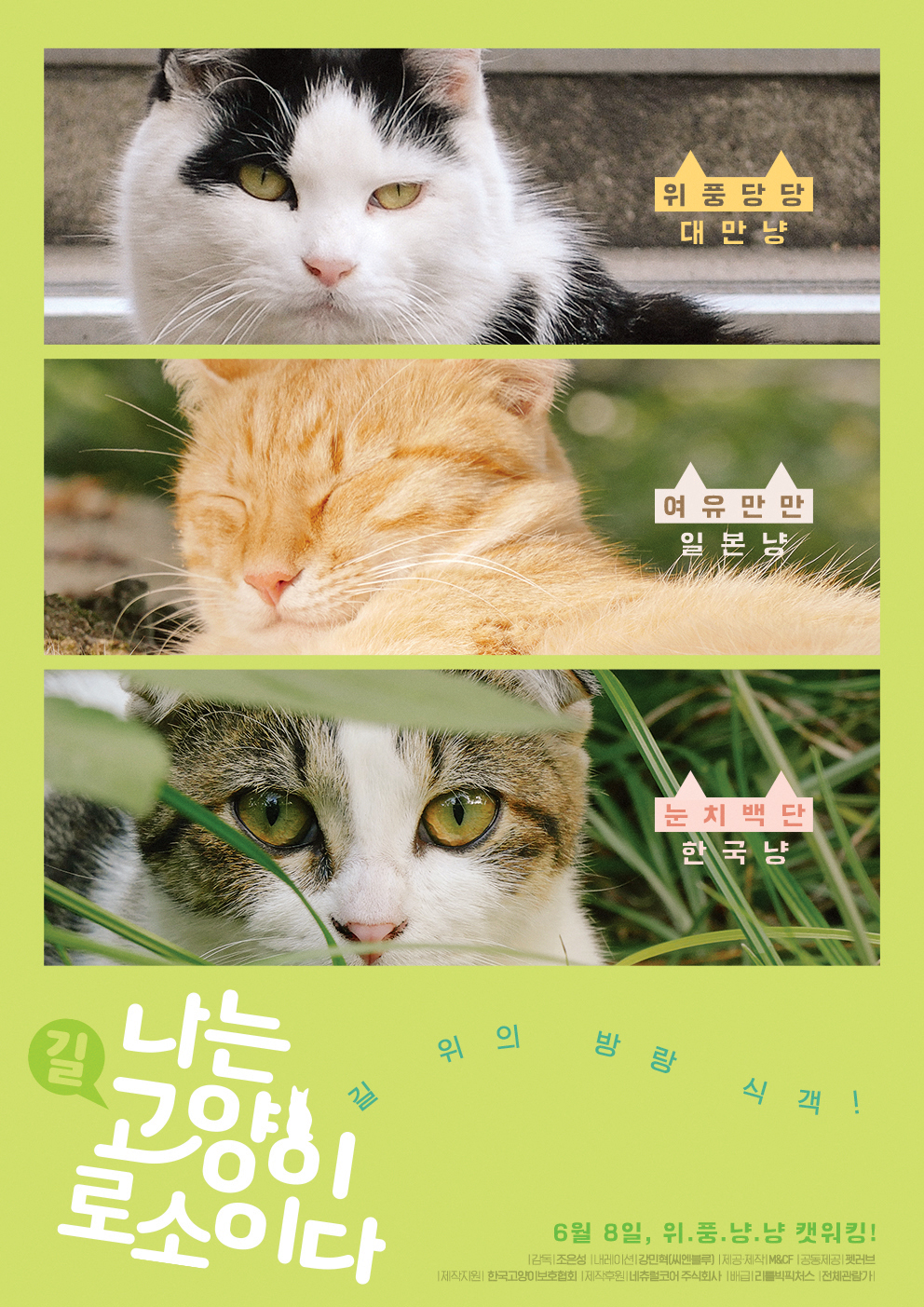 Я кот фильм