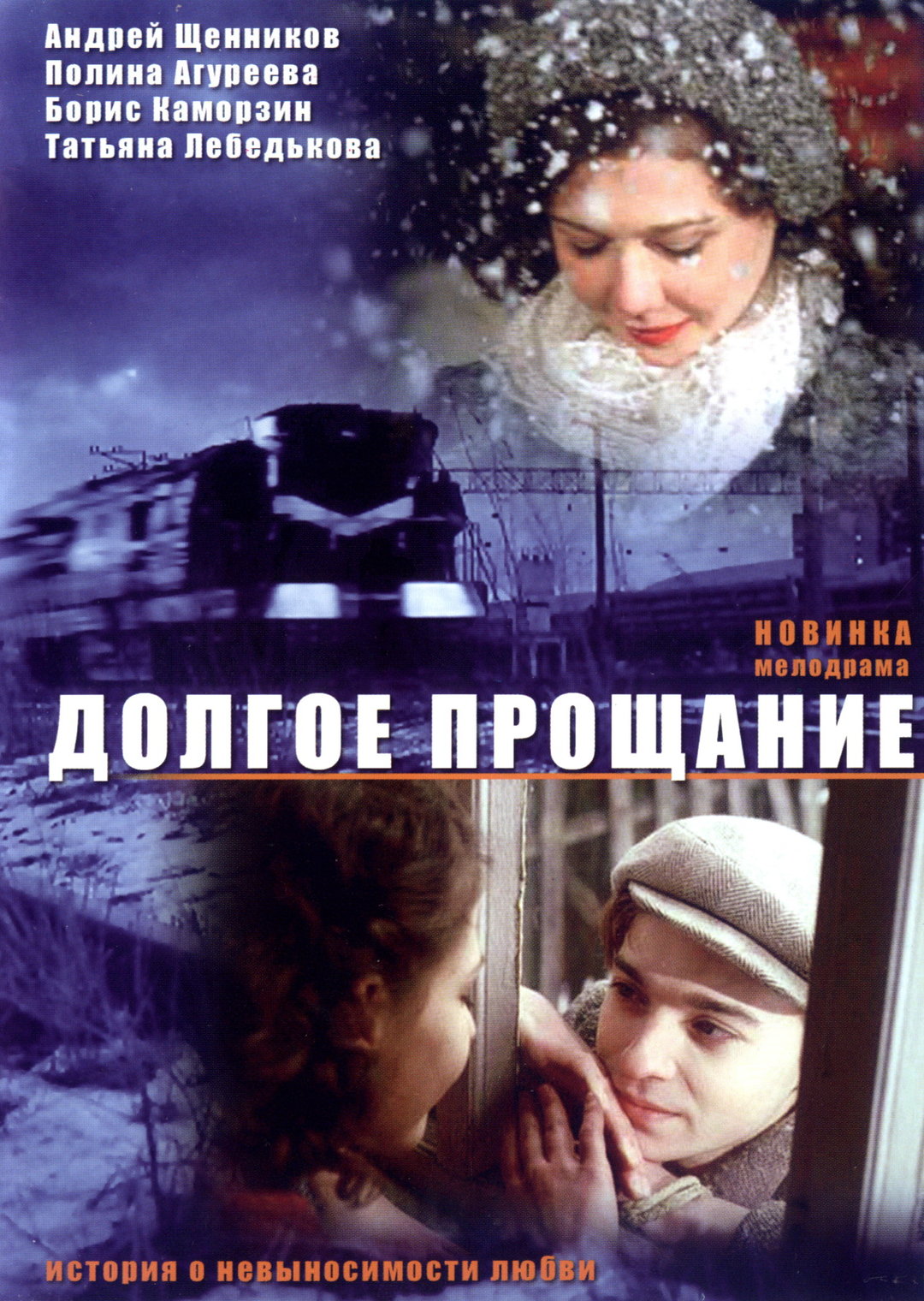 Довге прощання (фільм, 2004)