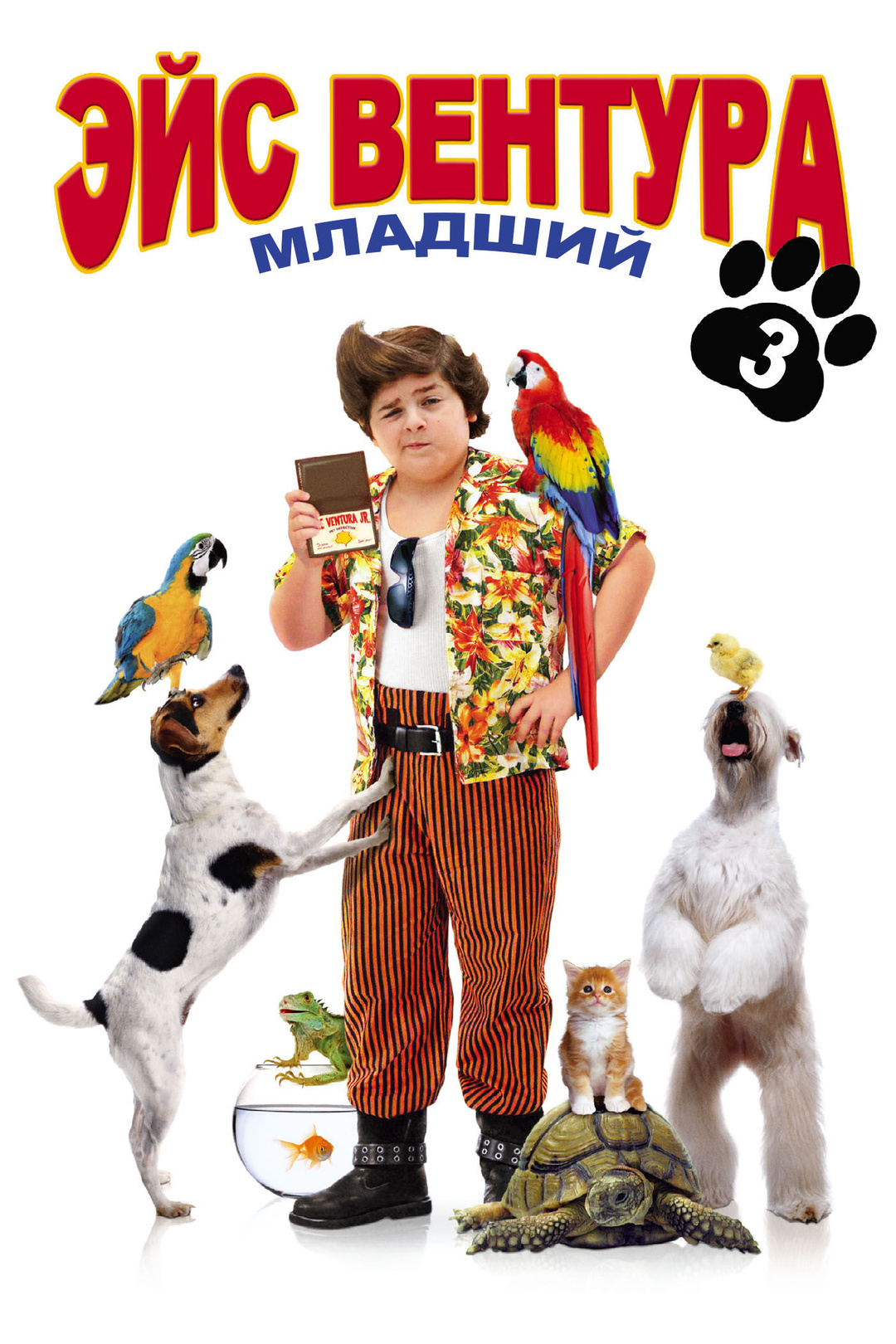 Ейс Вентура молодший (фільм, 2009)