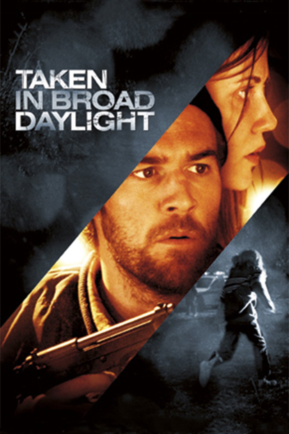 Похищена средь бела дня (фільм, 2009)