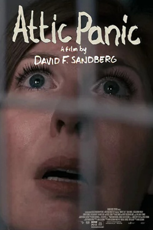 Фільм «Паника на чердаке» (2015)