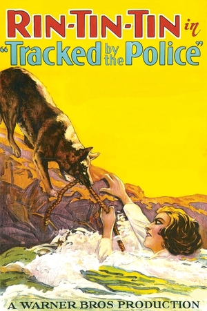 Фільм «Гусеничные полицией» (1927)