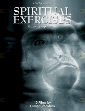 Мысли и видения отрубленной головы (фильм, 1991)
