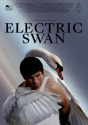 Фильм «Электрический лебедь» (2019)