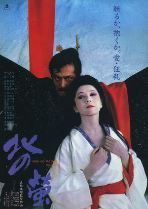 Фильм «Северные светлячки» (1984)