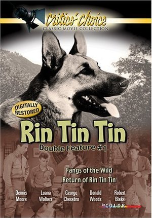 Фільм «Возвращение Рин Тин Тин» (1947)