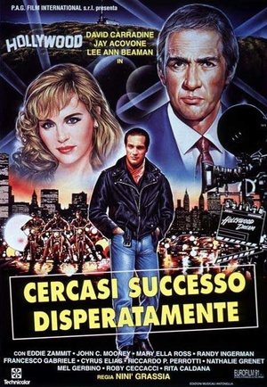 Фильм «Отчаянный поиск успеха» (1994)