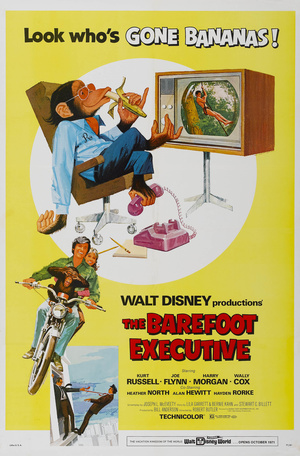 Фильм «Босой руководитель» (1971)