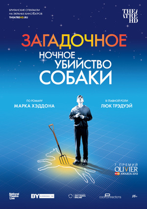 Фильм «Загадочное ночное убийство собаки» (2012)