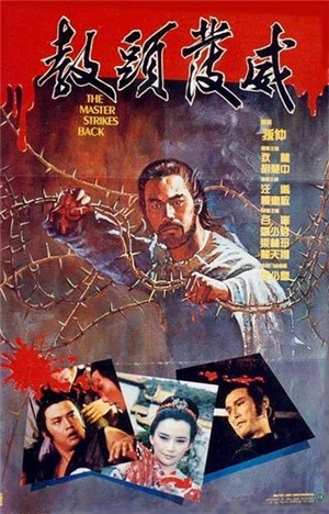 Фільм «Мастер наносит ответный удар» (1985)