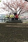 Movie "Tokyo rendering kashu" (2009)