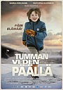 Над темними водами