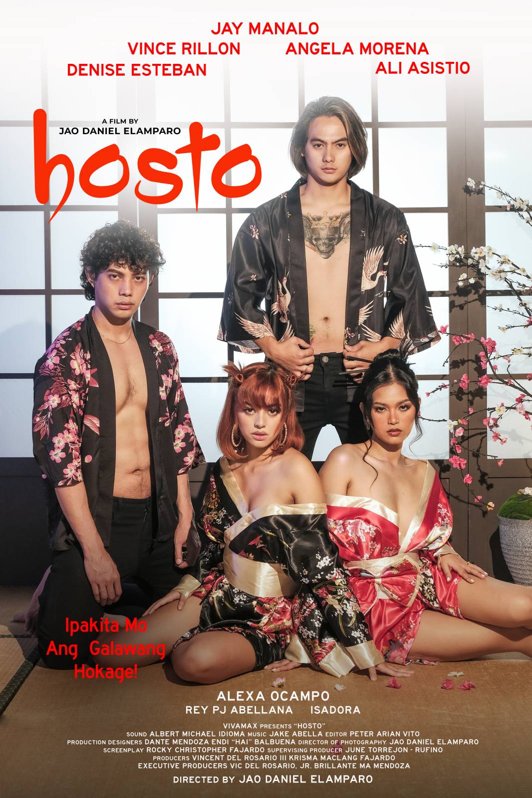 Постеры - Hosto