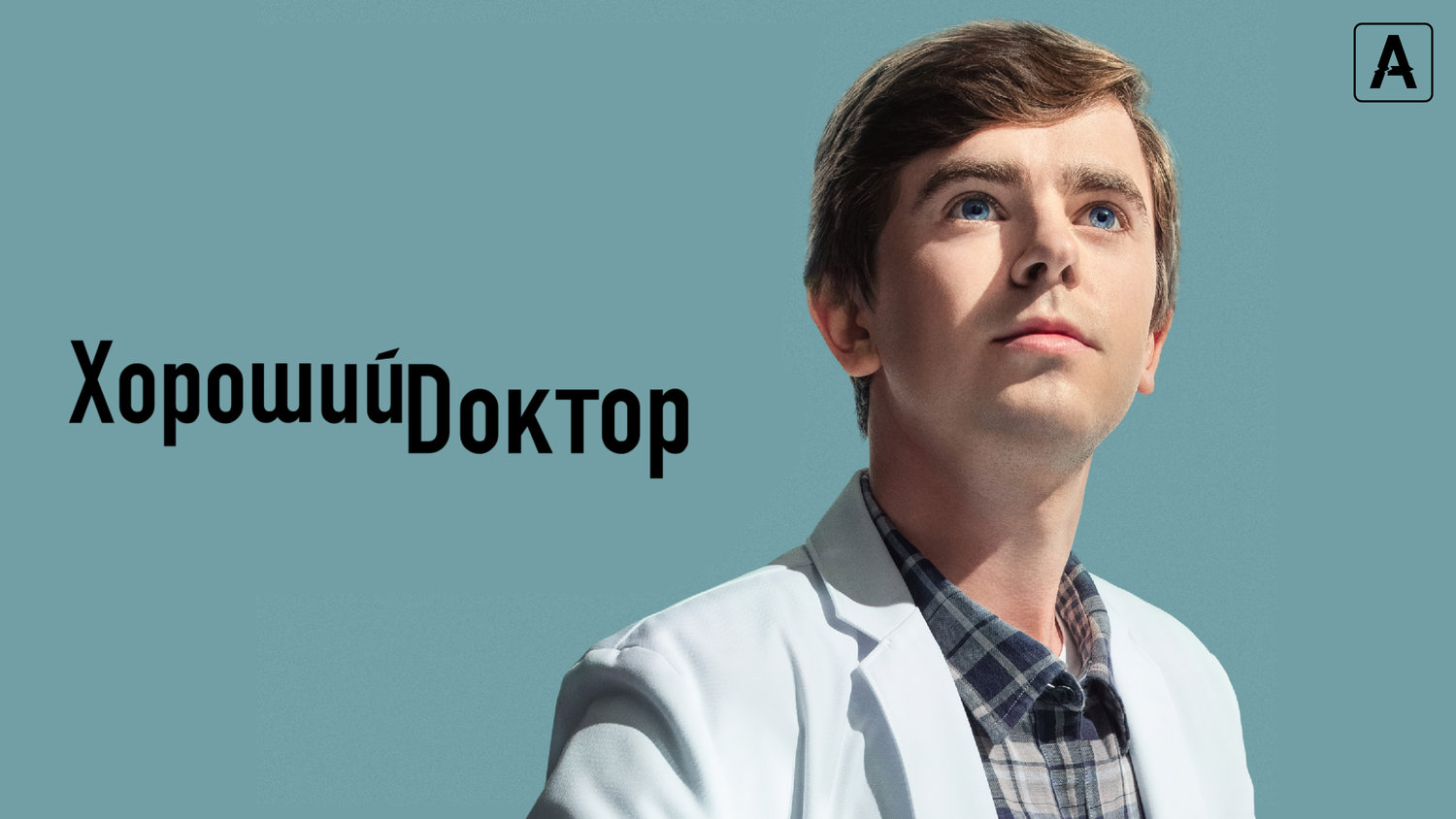 Постеры - Хороший доктор