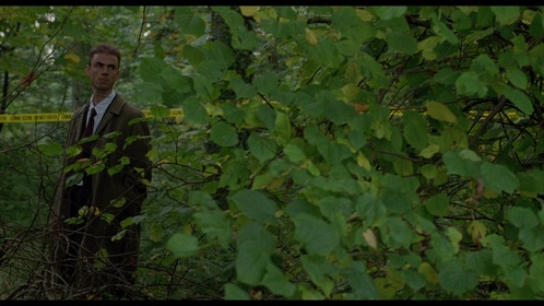 Неглубокая могила (фильм, 1994)