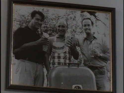 Братья Харди (сериал, 1995)