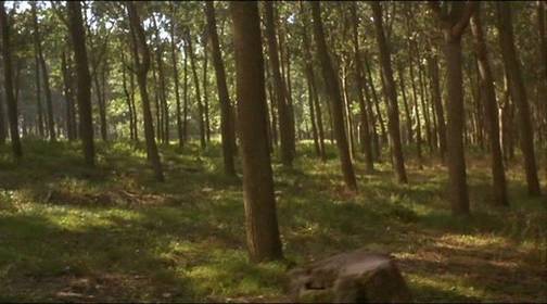Черная кошка, белый кот (фильм, 1998) — актеры, трейлер, фото