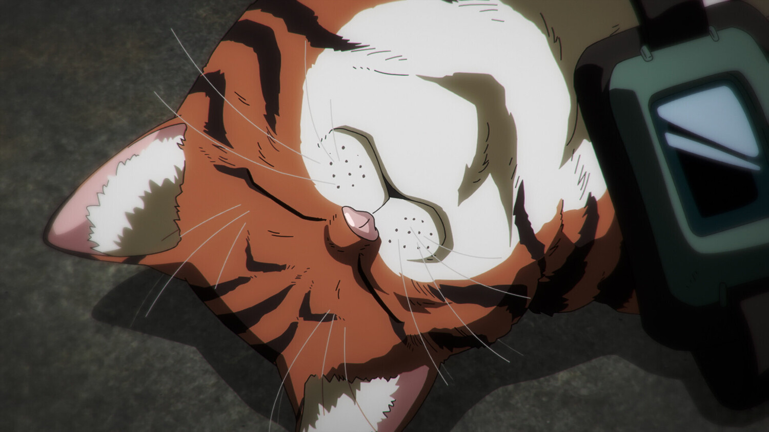 TV Show "Nyaight of the Living Cat" (2025 – ...): 1500x844