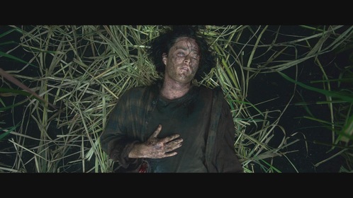 Высокая зелёная трава (фильм, 2019)