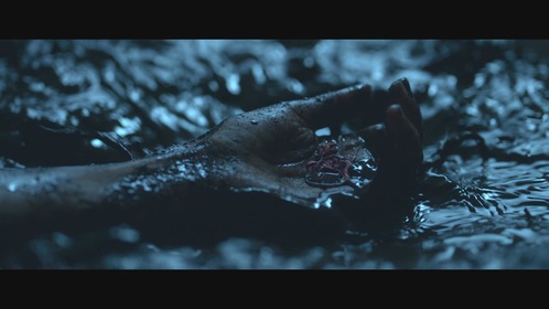 Высокая зелёная трава (фильм, 2019)