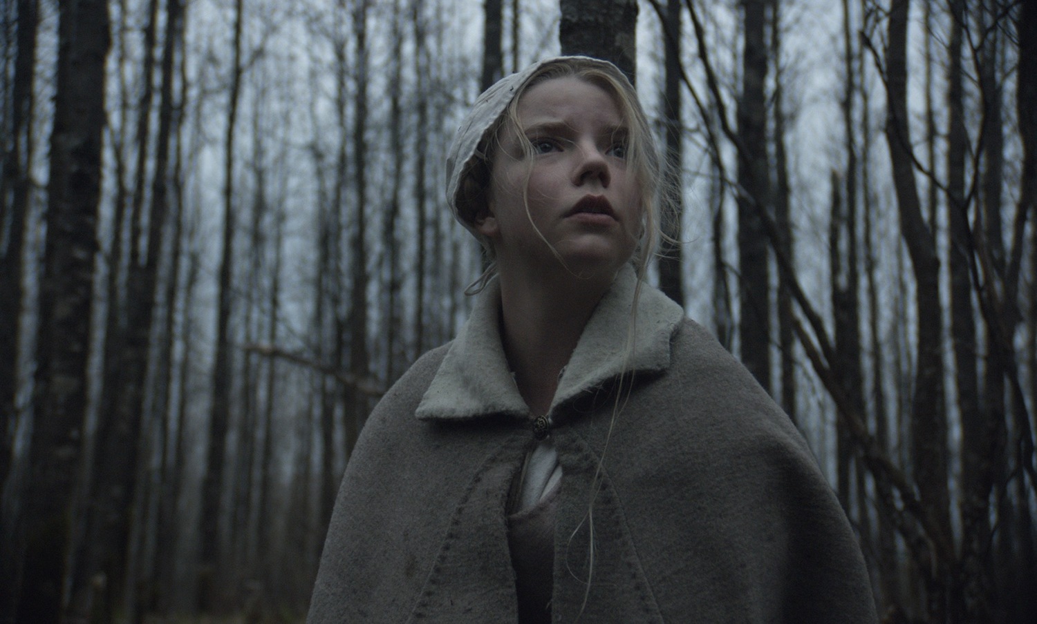 Ведьма (фильм, 2015)