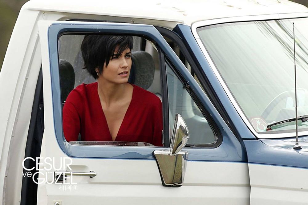 Отважный и красавица (сериал, 2016 – 2017)
