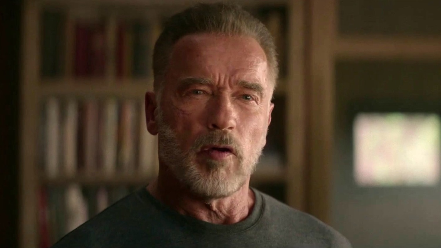 Movie "Terminator: Dark Fate" (2019): Arnold Schwarzenegger 1500x844