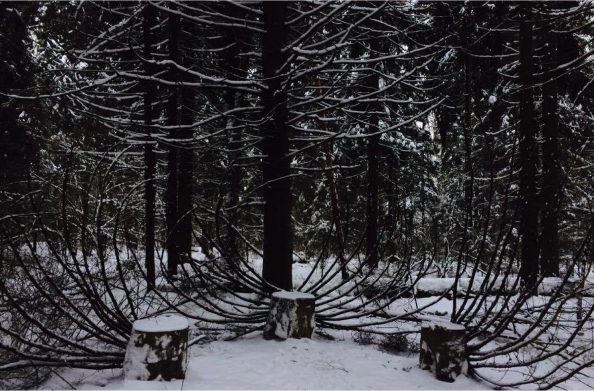 бег пальмиры 2021