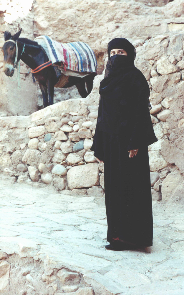 Клон (сериал, 2001 – 2002)