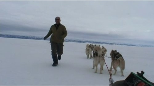 Discovery: Наука выживать (сериал, 2004 – 2017)