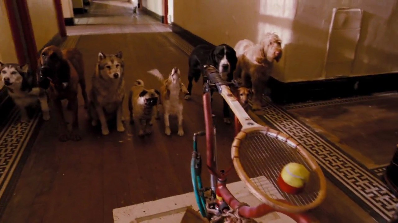 Screenshots Hotel for Dogs