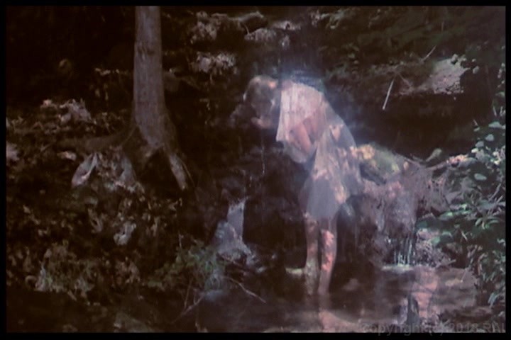 Alice In Wonderland An X Rated Musical Comedy Alice in Wonderland: An X-Rated Musical Fantasy (movie, 1976)