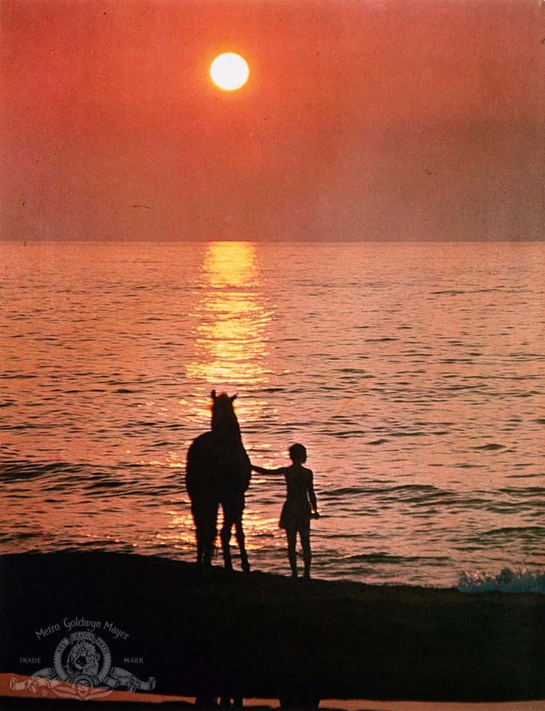 Kelly Reno - actor - biography, photo, best movies and TV shows