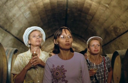 Испанский вояж Степаныча (фильм, 2006)