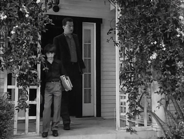 Франкенвини (фильм, 1984)