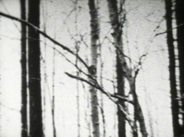 Порожденный (фильм, 1989)