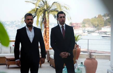 Коли буде миколайчик